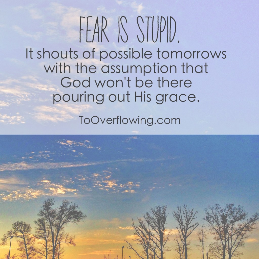 why fear is stupid