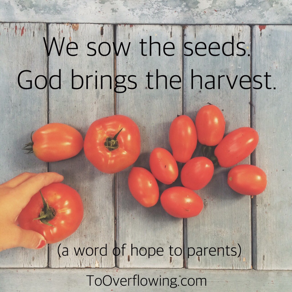 sow seeds in faith