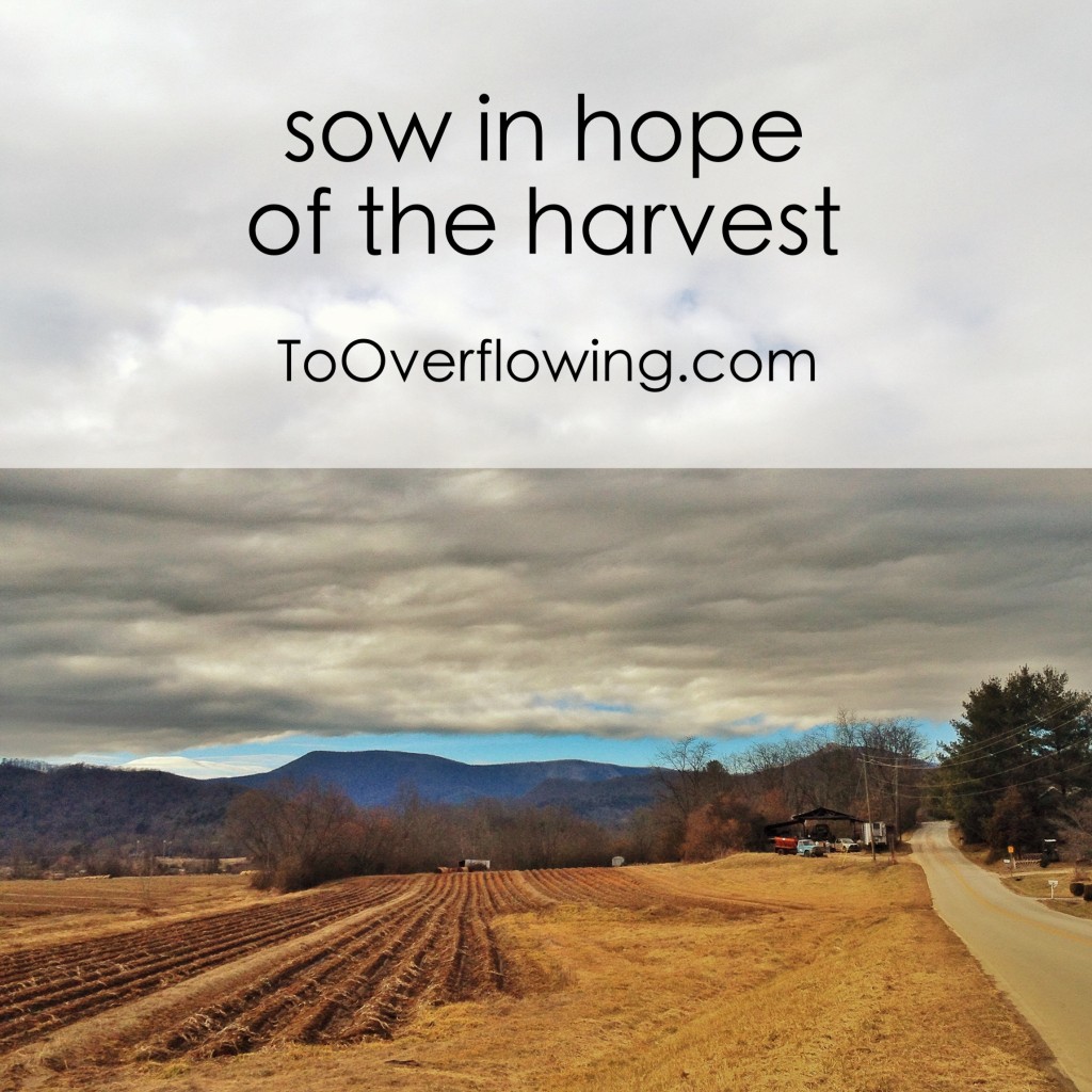 sow in hope