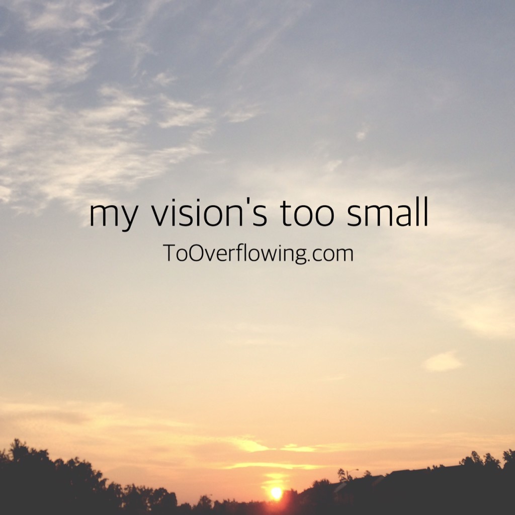 my vision's too small