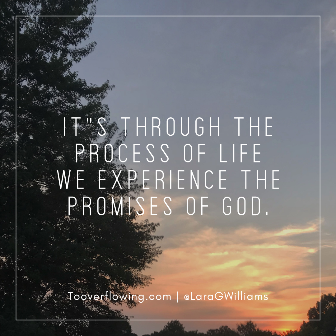 Its-through-the-process-of-life-we-experience-the-promises-of-God ...